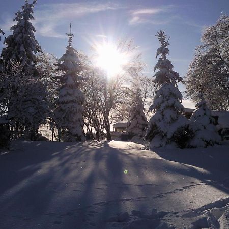 Ferienhaus Harzer Bauernhof ทาเลอ ภายนอก รูปภาพ