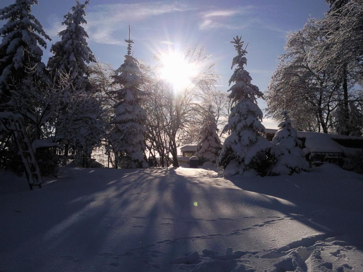 Ferienhaus Harzer Bauernhof ทาเลอ ภายนอก รูปภาพ